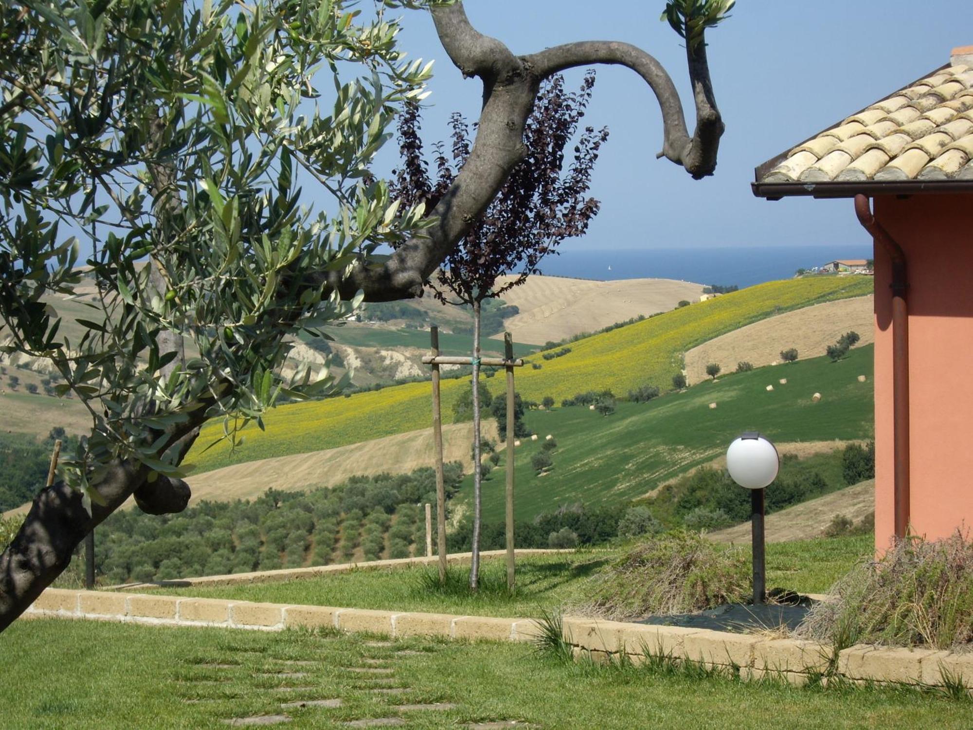 Agriturismo Il Borgo Degli Ulivi Roseto Degli Abruzzi Buitenkant foto